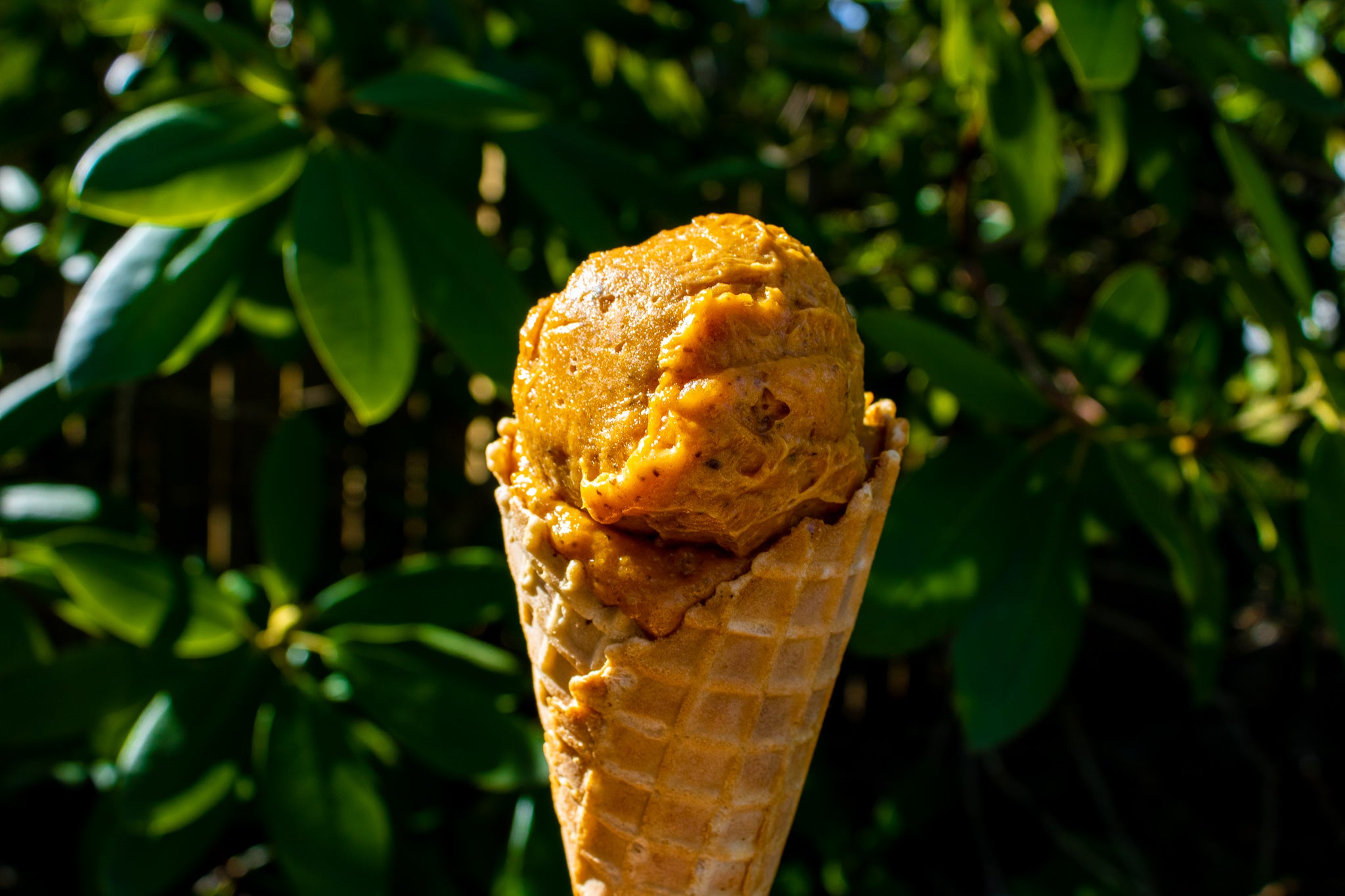 For Your Taste Only: A Tropical Mystery (007) Sweet Potato Dessert